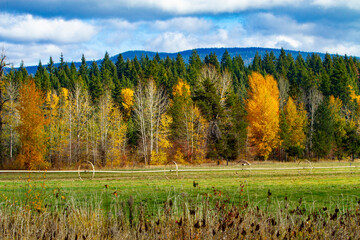 USA, Washington State. Trout Lake. Farm autumn scene.