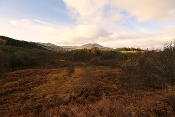 Scottish landscape with fall colors