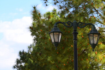 Park lamp with beautiful behind view.