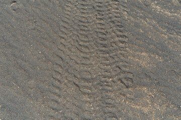 Tyre Tracks in Sand