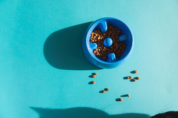 Fototapeta na wymiar Slow feeding bowl for dogs or cats filled with treats and food. On blue background and a shadow of a cat in the corner