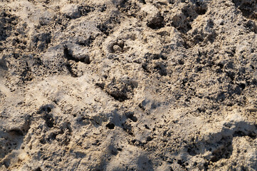 gray stone texture for natural background close up