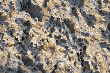 stone shell rock close-up texture for stone background