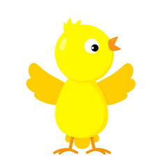 Vector illustration of cute cartoon yellow chick. Chicken Isolated on a white background.