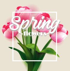 Spring banner with pink blooming tulip. Floral Spring Design for Card, Sale Banner