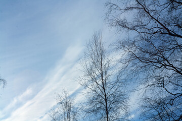 Cirrus-layered clouds