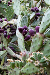 Views from Mallorca Spain