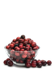 Glass vase filled with large berries of cranberry