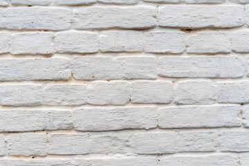 White brick wall as a structural background.