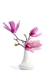 Magnolia branches with flowers in a white vase.