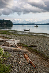 Shine Tidelands State Park, Washington State, beach, driftwood, daisies