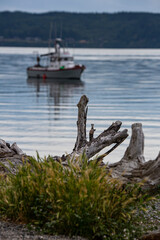 Shine Tidelands State Park, Washington State, beach, driftwood, fishing boat