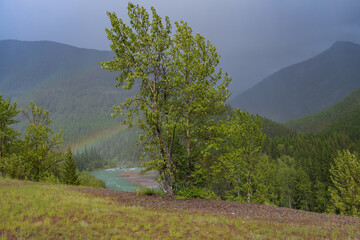 Rainbow over the Middle Fork Flathead River, Montana, USA