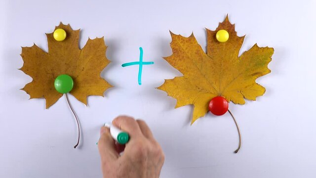 Teacher teaches kids basic of math addition with the aid of magnets, yellow leaves of maple on the whiteboard, example of educational math children game
