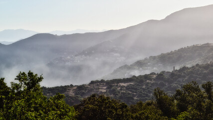 Corse