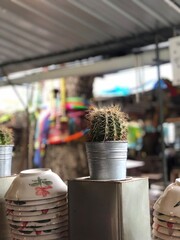 rows of chairs in restaurant