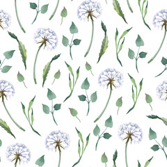 Watercolor seamless pattern. Blowball with leaves on white background.