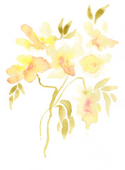 Fototapeta premium Watercolor Yellow Wild Flowers Floral Dreamy Background Texture Hand Painted.