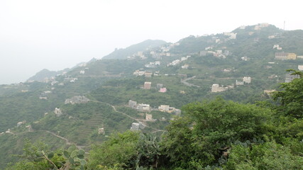 Fayfa and its coffee plantations in Southern Saudi Arabia (close to Yemen)