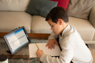 Portrait of a boy doing his homework at the laptop, isolated in the living room