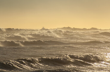 beautiful view of the ocean waves in the golden light of the sunset