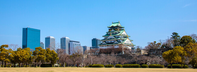 Fototapeta premium 大阪城天守閣とビジネスパークビル群