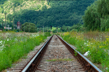 Fototapeta na wymiar A view of an old railroad. Railway signals. A mountain and a forest in the background.