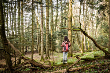 Obraz premium Enfant perdu dans la forêt