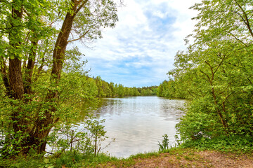 Idyllischer Anblick mit Waldsee
