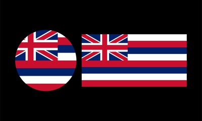 hawaii flag vector