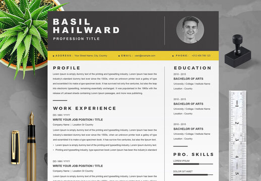 Minimalist Resume Layout
