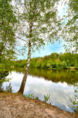 Fototapeta premium Landschaftsidylle am Seeufer mit Birkenbaum und Wasserspiegelung