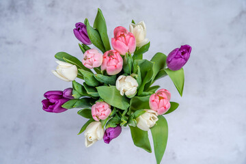 A bouquet of tulips from above on a gray background. Happy holiday concept ER