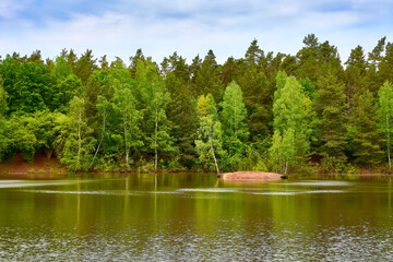Bewaldeter See mit kleiner mit Birken bewachsener Insel 