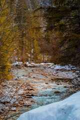 autumn bridge in the forest