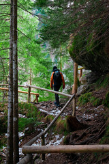hiker in the woods