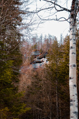 Rocky shelf through the forest