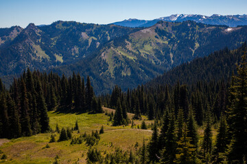Hiker enjoying the view of the Olympic mountain range seen in Olympic National Park in Washington State.