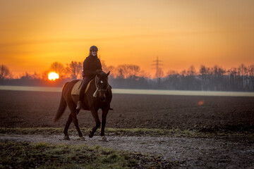 Reiterin mit Pferd im Sonnenaufgang