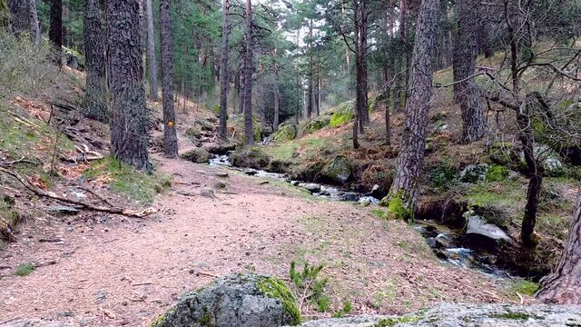naturaleza