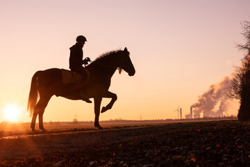 Reiterin mit Pferd im Sonnenaufgang