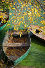 rowboat by the river and autumn leaves