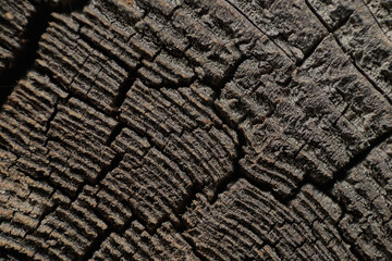 Old weathered cracked pine planks floor vignette grunge texture details