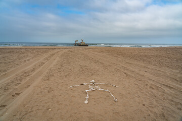 Fototapeta na wymiar Skeleton Coast in Namibia. The shipwreck was stranded or grounded at the coastline, bones lie on the sand
