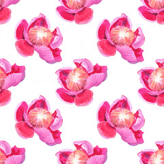 Seamless pattern with hand painted peonies flowers. Botanical illustration on white background