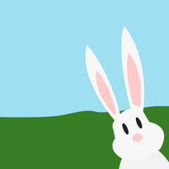 Obraz premium white rabbit smiling in the green field and blue sky