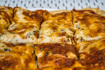 Delicious homemade hot Italian pizza ready to eat. With tomato, ham, mozzarella cheese and four cheeses.