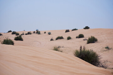 Obraz premium 4WD Desert Dubai Safari in the evening