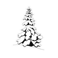Vector illustration tir tree with snow. Line art is on a white background without color. Decorative element for card design, poster.