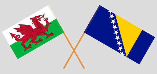 Crossed flags of Wales and Bosnia and Herzegovina. Official colors. Correct proportion